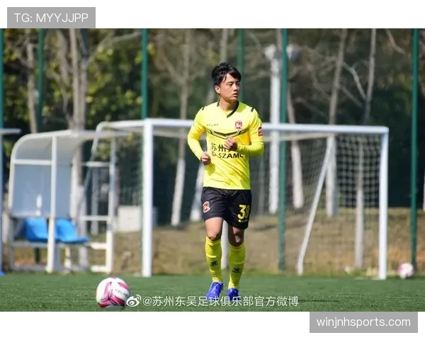 苏州东吴后防线近期失球增多成球队冲甲征程关键隐患 苏州东吴后防线近期失球增多成球队冲甲征程关键隐患